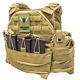 Shellback Tactical Sf Plate Carrier Military Modular Combat Vest New Free Hanger