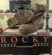 Us Military Rocky Coyote Combat Boots Brand New With Tag Size 8.5 M Us Army